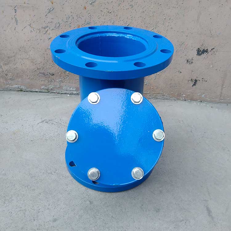 DN150過濾器-(2)